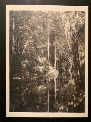 Special Suite of 28 Photos from New Hampshire circa 1920