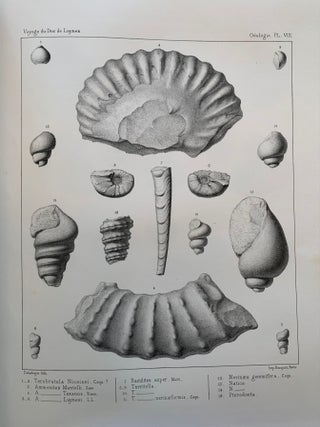 Voyage d'exploration à la mer Morte, à Petra et sur la rive gauche du Jourdain--3 Volumes plus Atlas