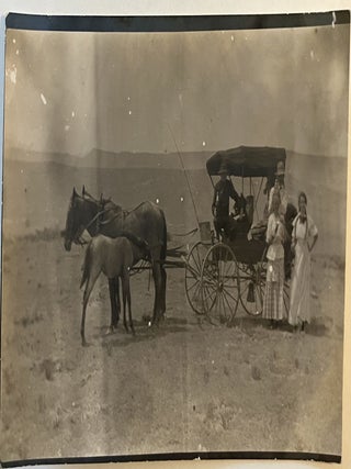 Item #1696 Horse Drawn Carriage with a Foal Nursing Real Photo Postcard