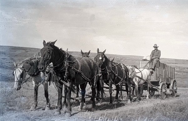 Spear-Faddis Cattle Company, Lodge Grass, Montana 1920 David T. Vernon ...