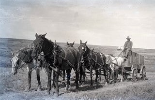 Spear-Faddis Cattle Company, Lodge Grass, Montana 1920 David T. Vernon Collection of Photographs
