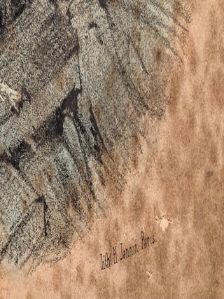 Voyages Aux Mers Polaires/Voyages To The Polar Seas