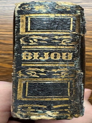 Sixth Plate Daguerreotype with Papier Mache Case with Mother of Pearl and Hand Painted Flowers