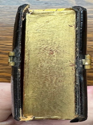 Sixth Plate Daguerreotype with Papier Mache Case with Mother of Pearl and Hand Painted Flowers