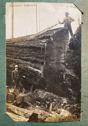 California Postcard Collection from the Golden Age of Postcards--304 Postcards