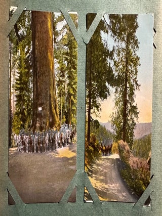 California Postcard Collection from the Golden Age of Postcards--304 Postcards