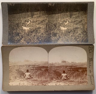 Item #245 Large Archive of Stereoviews of Hunting Dogs, Circa 1895 Moscow, Tennessee (380 Images)...