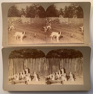 Large Archive of Stereoviews of Hunting Dogs, Circa 1895 Moscow, Tennessee (380 Images) W.S. Bell