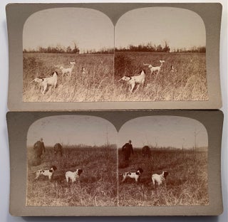 Large Archive of Stereoviews of Hunting Dogs, Circa 1895 Moscow, Tennessee (380 Images) W.S. Bell