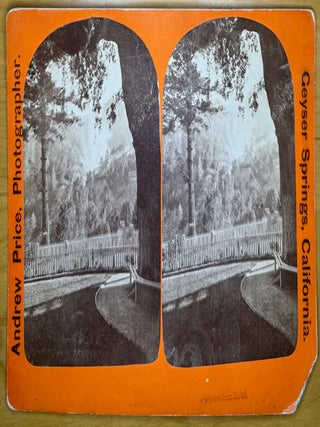 Item #2568 Geyser Springs, California (2) Stereoviews: "Views on Cloverdale Road to Geysers" and...