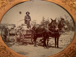 Framed Half Plate Tintype of a Man in a Horse Drawn Cart
