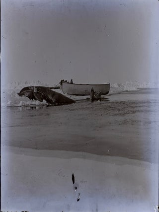 Archive of Pt. Barrow (Nuvuk) Alaska Glass Plate Negatives--217 Plates (4 x 5 inches) 1899-1908