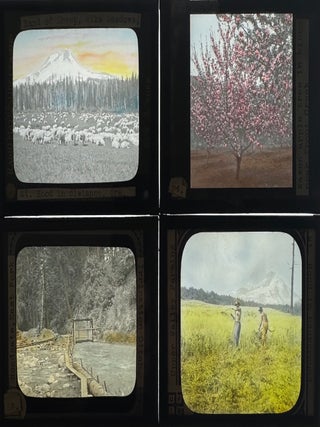 [Mountain Climbing] [Mt. Hood, Oregon] [Agriculture] [Exploration] 49 Lantern Slides of Images on and Around Mt. Hood, circa 1922