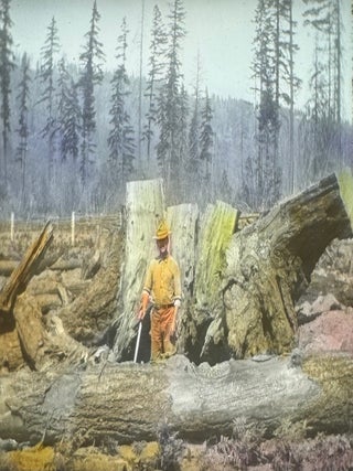[Mountain Climbing] [Mt. Hood, Oregon] [Agriculture] [Exploration] 49 Lantern Slides of Images on and Around Mt. Hood, circa 1922