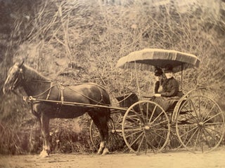 Item #276 Quarter Plate Tintype Horse and Buggy Image