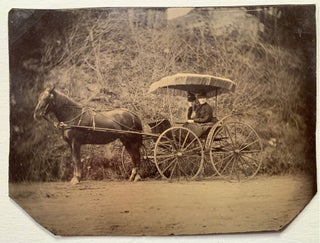 Quarter Plate Tintype Horse and Buggy Image
