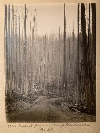 Eighteen Original Photographs by Washington Based Photographer Albert Henry Barnes