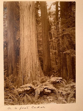Eighteen Original Photographs by Washington Based Photographer Albert Henry Barnes