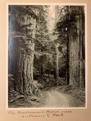 Eighteen Original Photographs by Washington Based Photographer Albert Henry Barnes