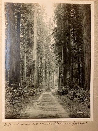 Eighteen Original Photographs by Washington Based Photographer Albert Henry Barnes