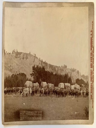 Item #879 Freighting in "THE BLACK HILLS." Photographed between Sturgis and Deadwood. John C. H...